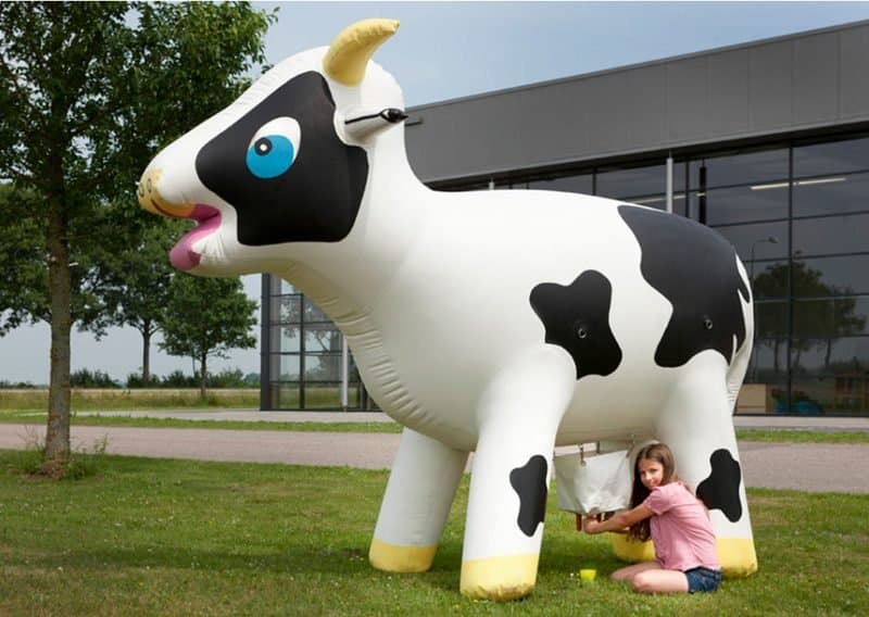 Jeu gonflable vache à traire à louer Toulouse