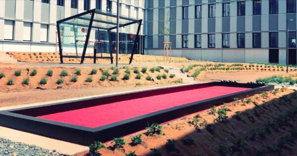 Terrain de pétanque à louer chez Elite Animation Toulouse